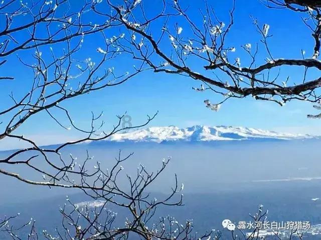济南教育数字资源智作中心正式成立